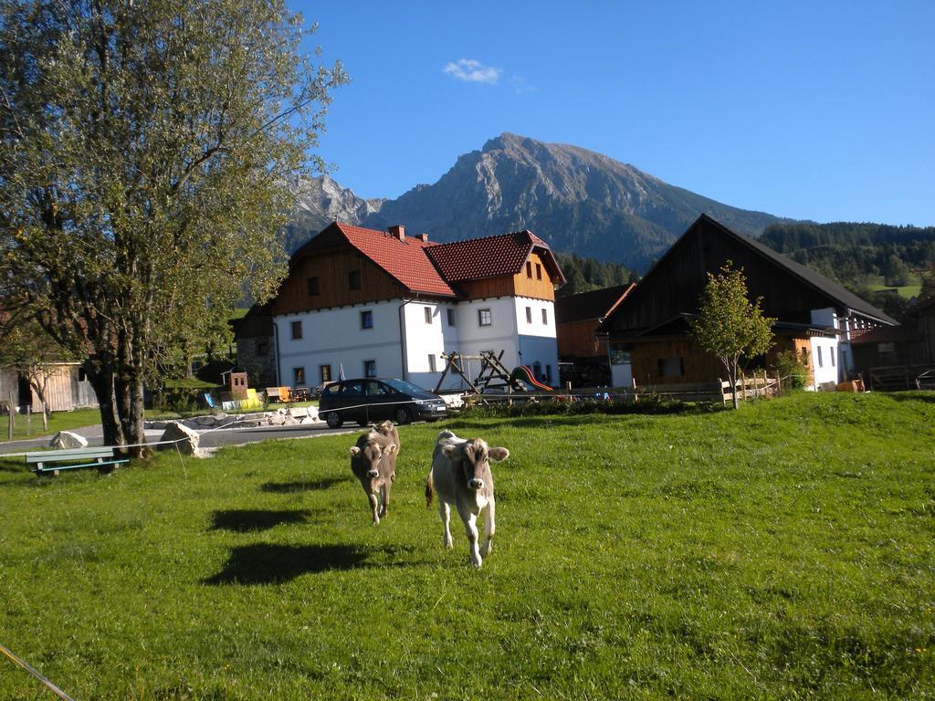 Bio-Urlaubshof Dansbach Villa Spital am Pyhrn Kültér fotó